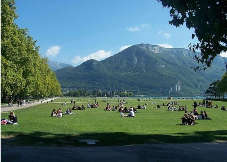Appartamento La Petite Venise Des Alpes, Ultra Centre 1 A 5 Pers Annecy Esterno foto