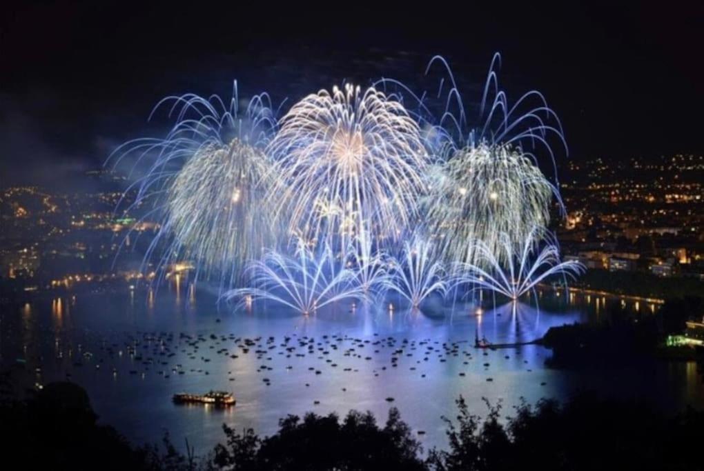 Appartamento La Petite Venise Des Alpes, Ultra Centre 1 A 5 Pers Annecy Esterno foto